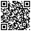 QR Code Handyversion