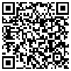 QR Code Handyversion