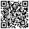 QR Code Handyversion