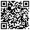 QR Code Handyversion