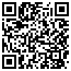 QR Code Handyversion