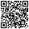 QR Code Handyversion