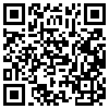 QR Code Handyversion