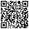 QR Code Handyversion