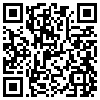 QR Code Handyversion