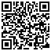 QR Code Handyversion