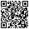 QR Code Handyversion