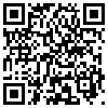 QR Code Handyversion