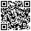 QR Code Handyversion