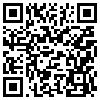 QR Code Handyversion