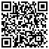 QR Code Handyversion