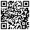 QR Code Handyversion