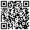 QR Code Handyversion