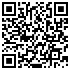 QR Code Handyversion