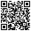 QR Code Handyversion