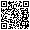 QR Code Handyversion