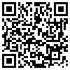 QR Code Handyversion