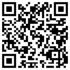 QR Code Handyversion