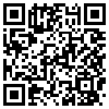 QR Code Handyversion