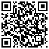 QR Code Handyversion