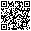 QR Code Handyversion