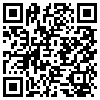 QR Code Handyversion