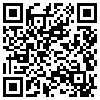 QR Code Handyversion