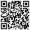 QR Code Handyversion