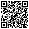 QR Code Handyversion