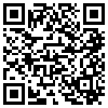 QR Code Handyversion