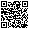 QR Code Handyversion