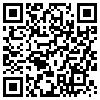 QR Code Handyversion