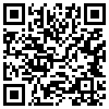 QR Code Handyversion