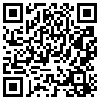 QR Code Handyversion