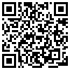 QR Code Handyversion