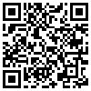 QR Code Handyversion