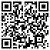 QR Code Handyversion