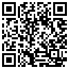 QR Code Handyversion