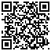 QR Code Handyversion