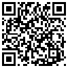 QR Code Handyversion