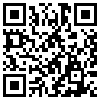 QR Code Handyversion