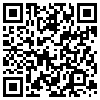 QR Code Handyversion