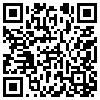 QR Code Handyversion