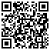 QR Code Handyversion