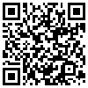 QR Code Handyversion