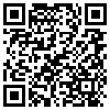 QR Code Handyversion