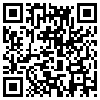 QR Code Handyversion