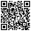 QR Code Handyversion