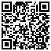 QR Code Handyversion