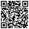 QR Code Handyversion